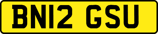BN12GSU