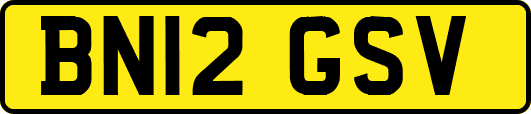 BN12GSV