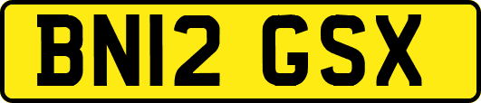 BN12GSX