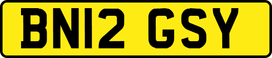 BN12GSY