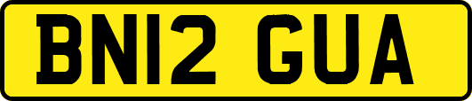 BN12GUA