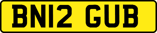 BN12GUB
