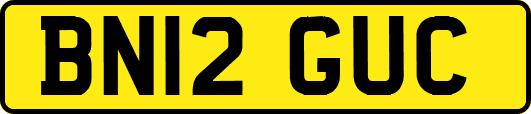 BN12GUC