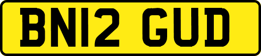 BN12GUD