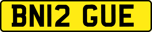 BN12GUE