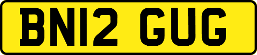 BN12GUG