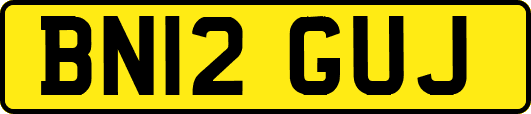 BN12GUJ