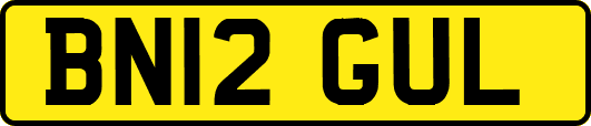 BN12GUL