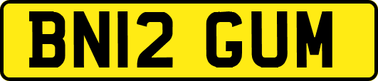 BN12GUM