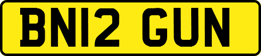 BN12GUN