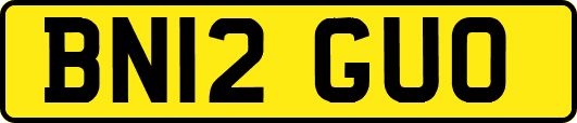 BN12GUO