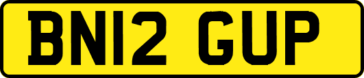BN12GUP