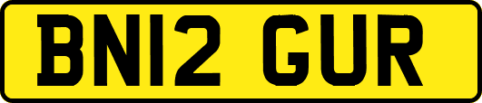 BN12GUR