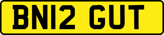 BN12GUT