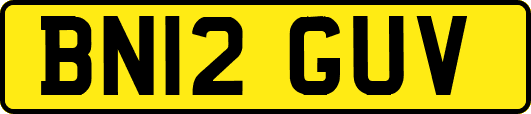 BN12GUV