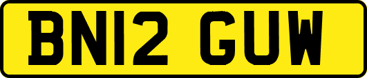 BN12GUW