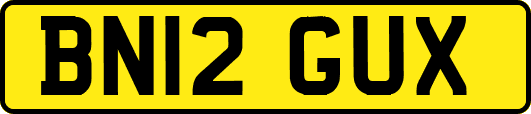 BN12GUX