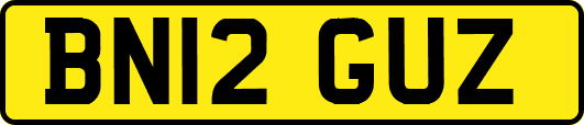 BN12GUZ