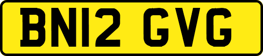 BN12GVG