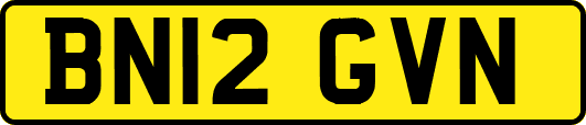BN12GVN