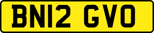 BN12GVO