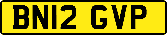 BN12GVP