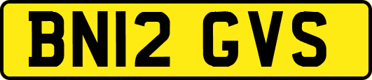 BN12GVS