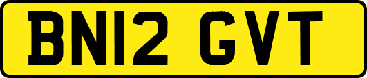 BN12GVT