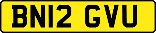 BN12GVU