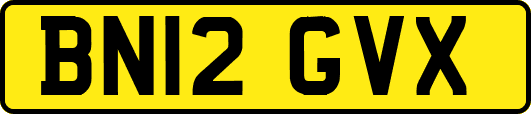 BN12GVX