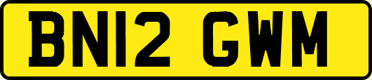 BN12GWM