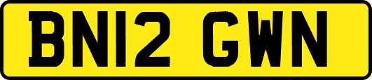 BN12GWN