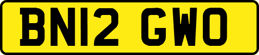 BN12GWO