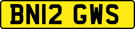 BN12GWS