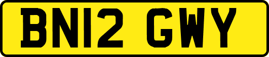 BN12GWY