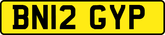 BN12GYP
