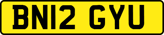 BN12GYU