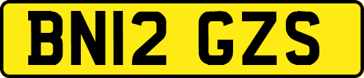 BN12GZS