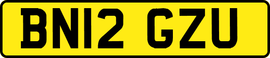 BN12GZU