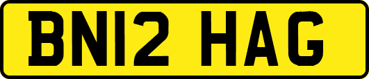 BN12HAG