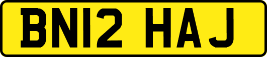 BN12HAJ
