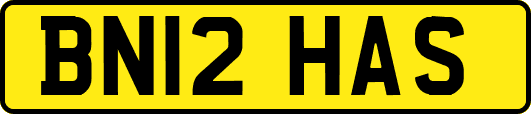 BN12HAS