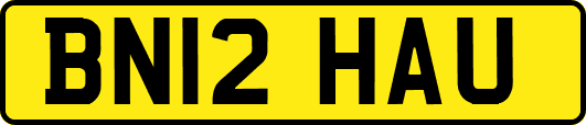 BN12HAU