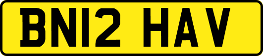 BN12HAV