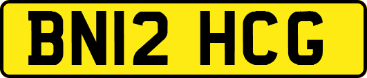 BN12HCG