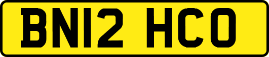BN12HCO