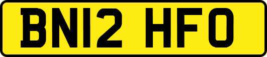 BN12HFO