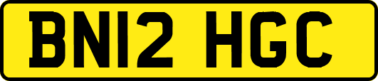 BN12HGC
