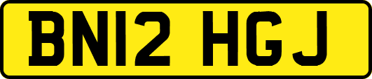 BN12HGJ