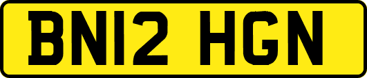 BN12HGN